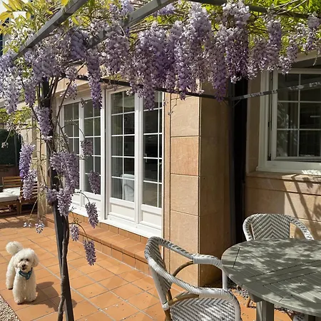 Bakea Apto Con Jardin Privado Apartment Bakio